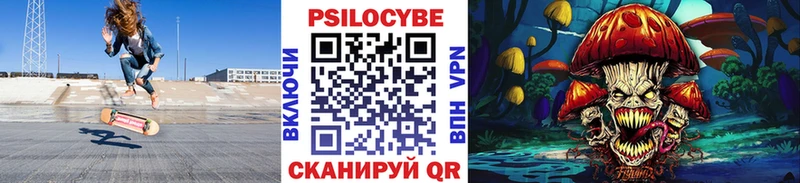 Галлюциногенные грибы Psilocybine cubensis  Бодайбо 